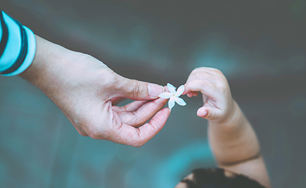 Terumo Group Sustainability Image / Passing white flowers from parent to child's hand