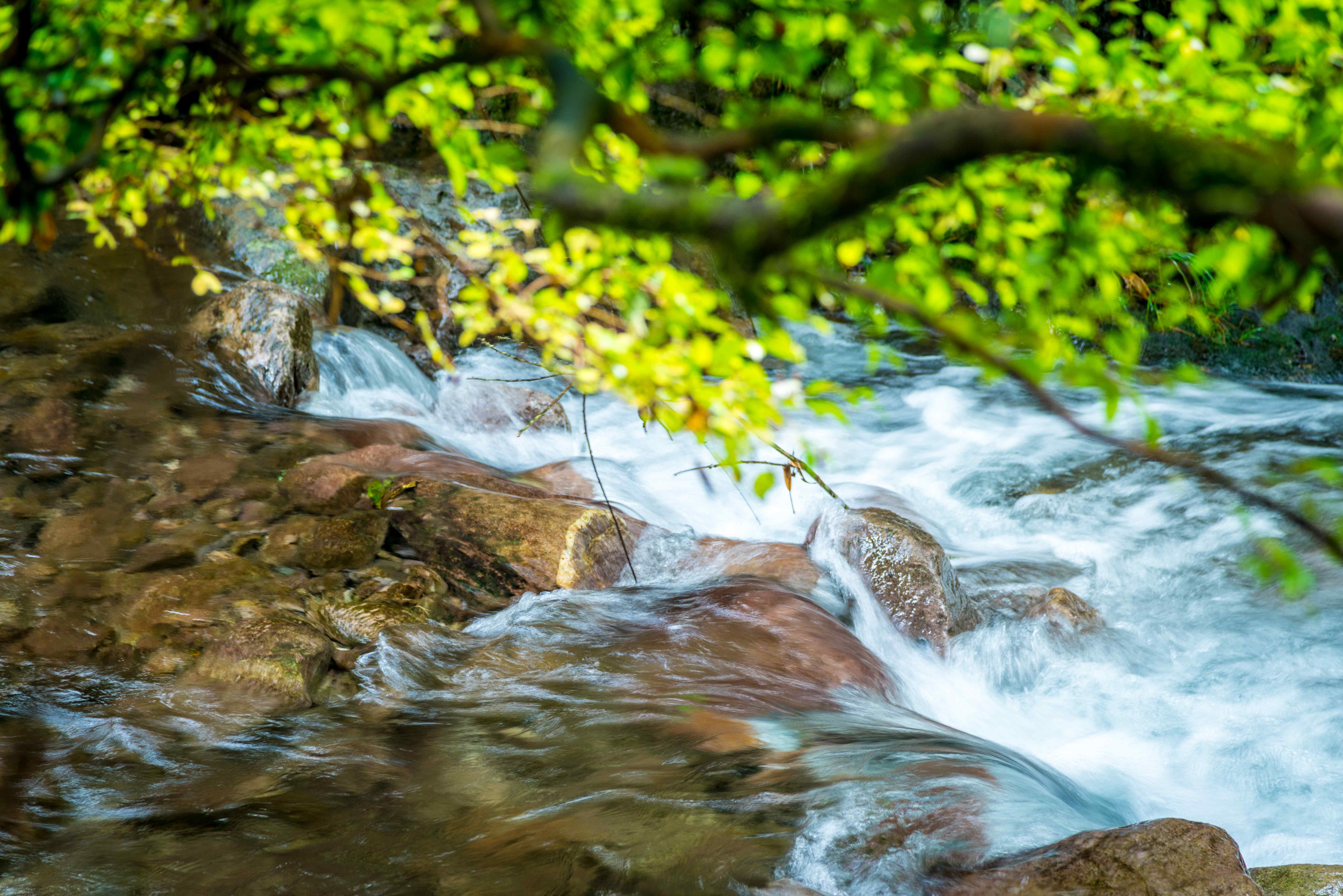 Image of Reducing Environmental Footprint/ Landscape with greenery and flowing water