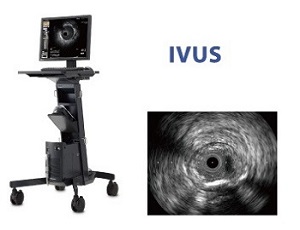 ivus_EN