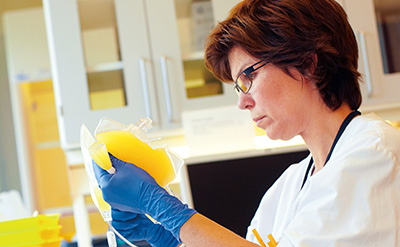 Image of Blood and Cell Technologies Company