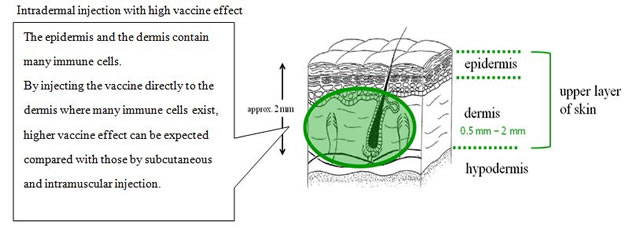 20150410_01.jpg